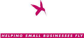 hummingbirdwebdesign white logo